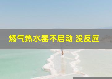 燃气热水器不启动 没反应